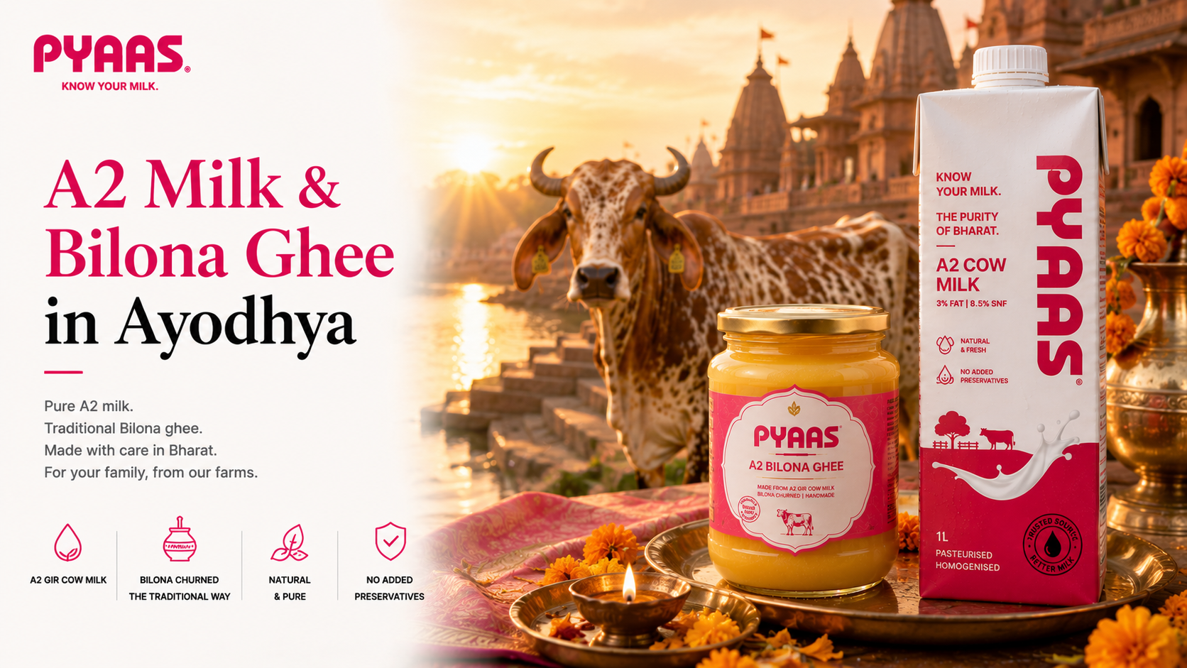 Cover image for the article A2 Milk and Bilona Ghee in Ayodhya