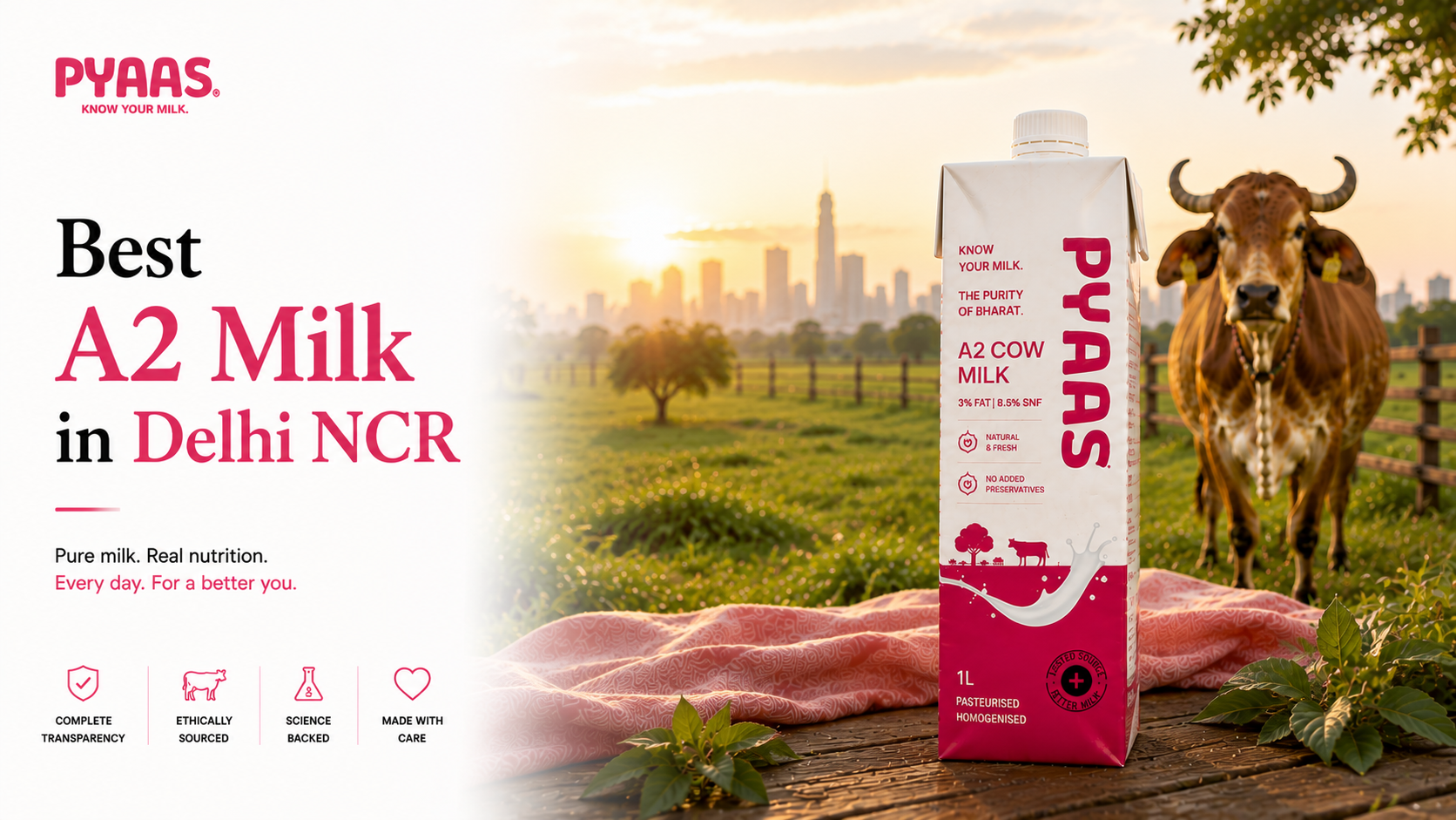 Cover image for the article Best A2 Milk in Delhi NCR: A Buyer’s Guide