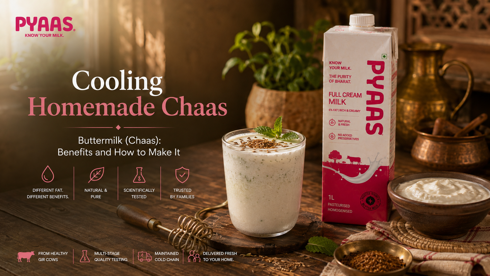 A frothy glass of chaas with cumin and mint beside a bowl of curd and a PYAAS carton.