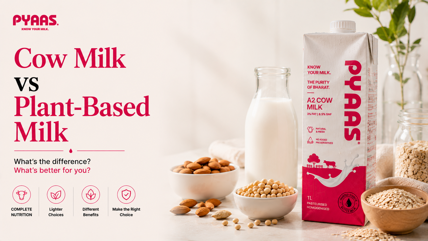 Cow Milk vs Plant-Based Milk: An Honest Comparison