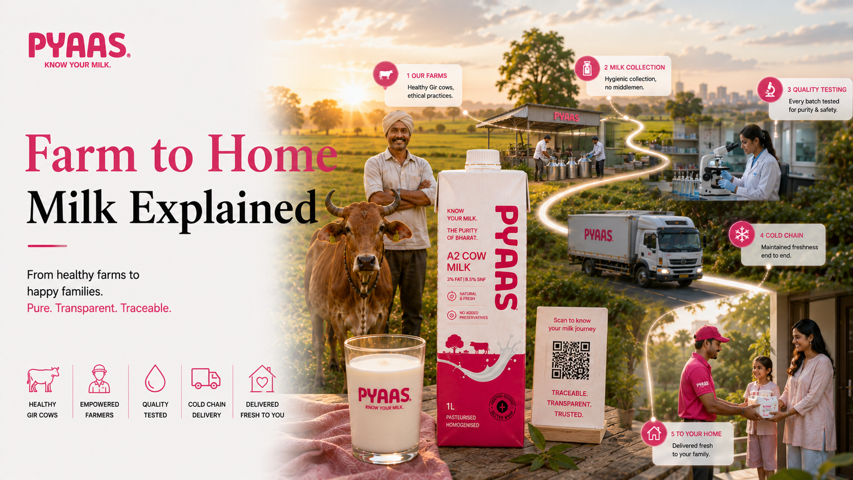 Cover image for the article Farm to Home Milk Explained: The Journey Behind Every Glass