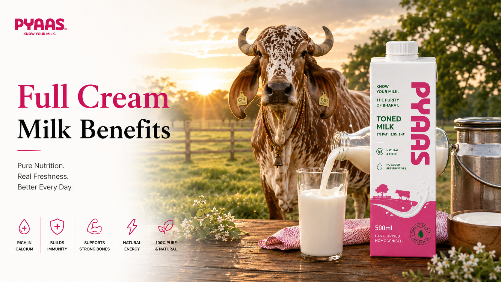 Cover image for the article Full Cream Milk Benefits: Why Many Families Prefer Rich, Creamy Milk