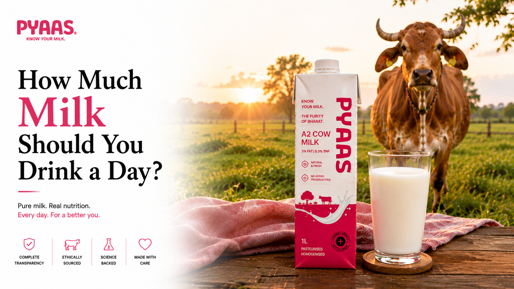 Cover image for the article How Much Milk Should You Drink a Day?