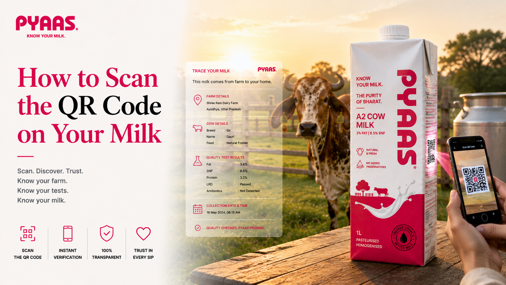 How to Scan the QR Code on Your Milk