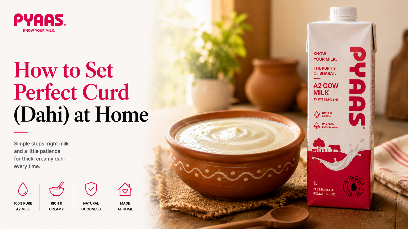 How to Set Perfect Curd (Dahi) at Home