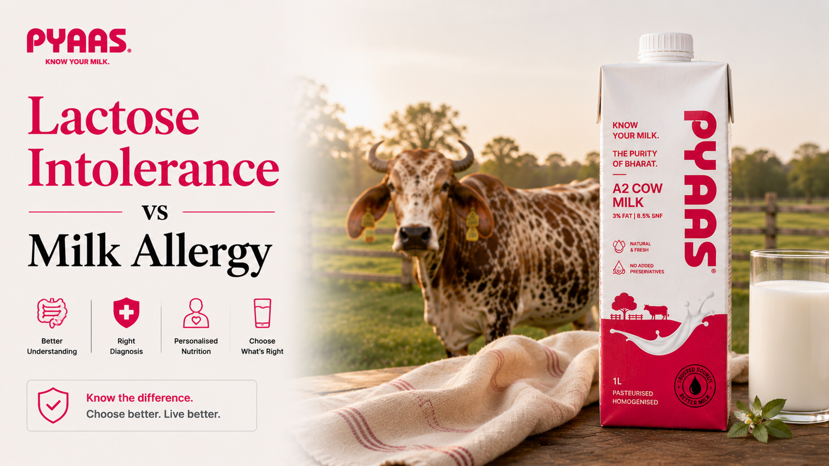 Cover image for the article Lactose Intolerance vs Milk Allergy: Know the Difference