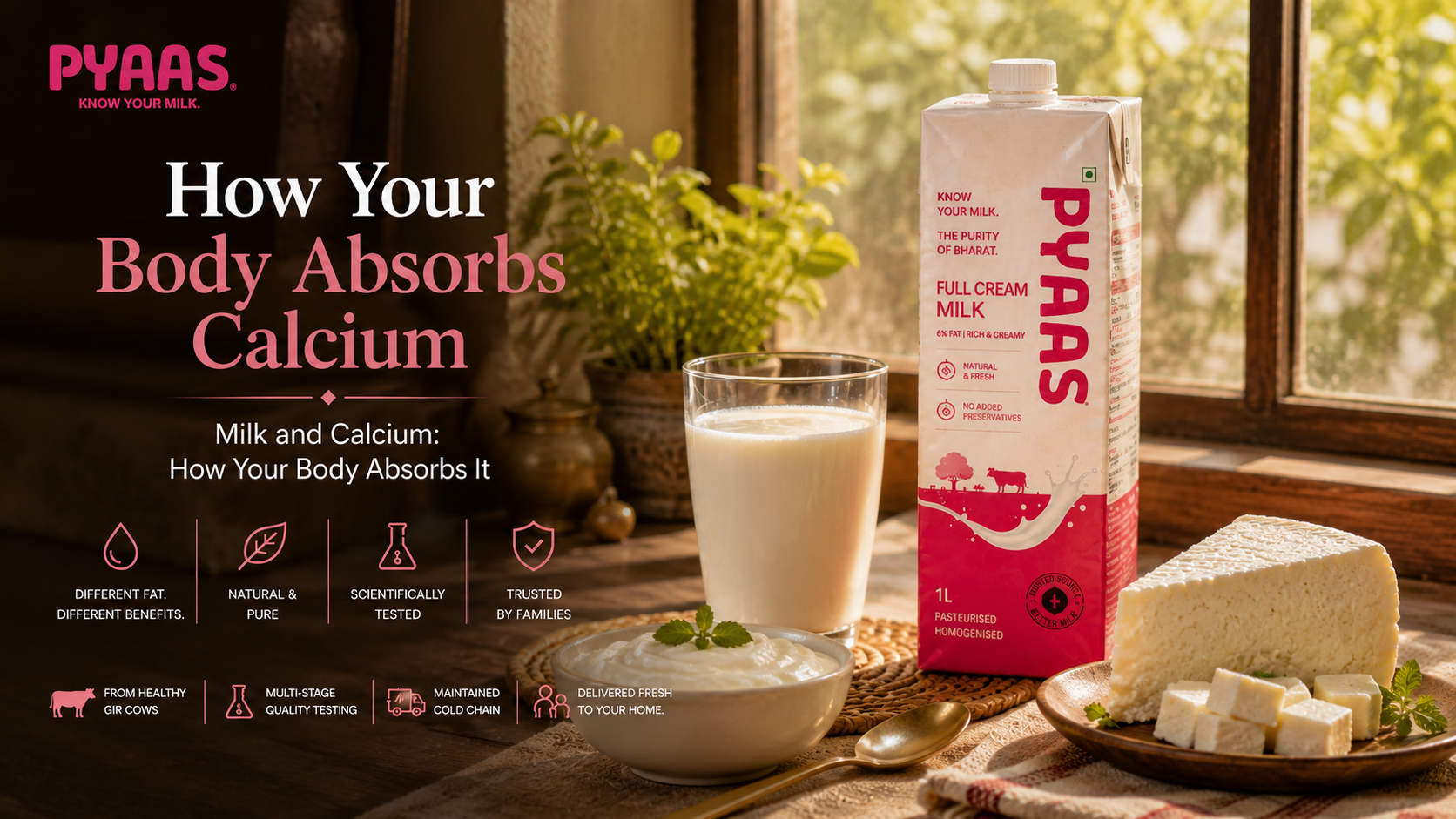A glass of milk, curd and paneer beside a PYAAS carton in warm morning window light.