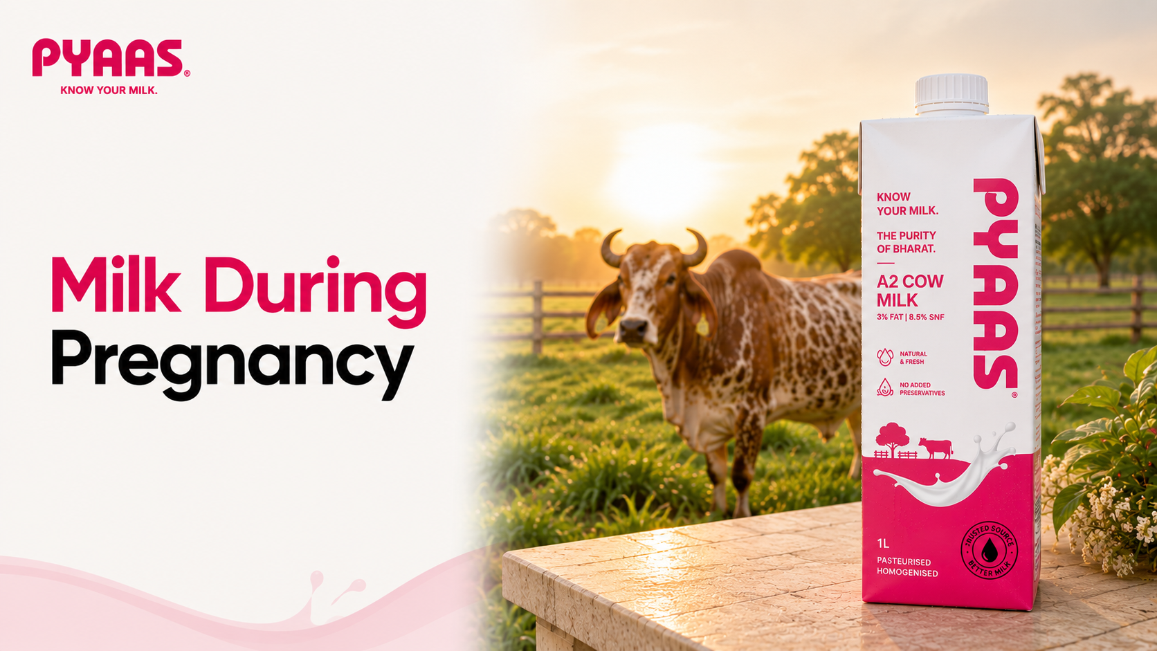 Cover image for the article Milk During Pregnancy: A Nutrition Guide