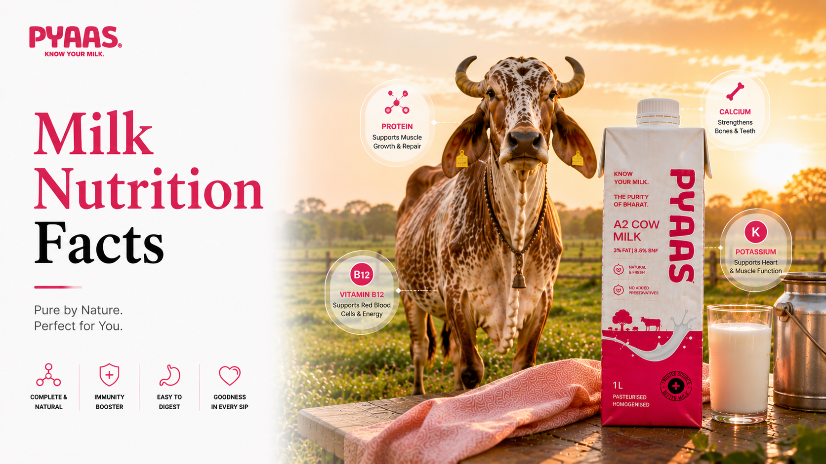Cover image for the article Milk Nutrition Facts: What Is Really Inside Your Glass of Milk?