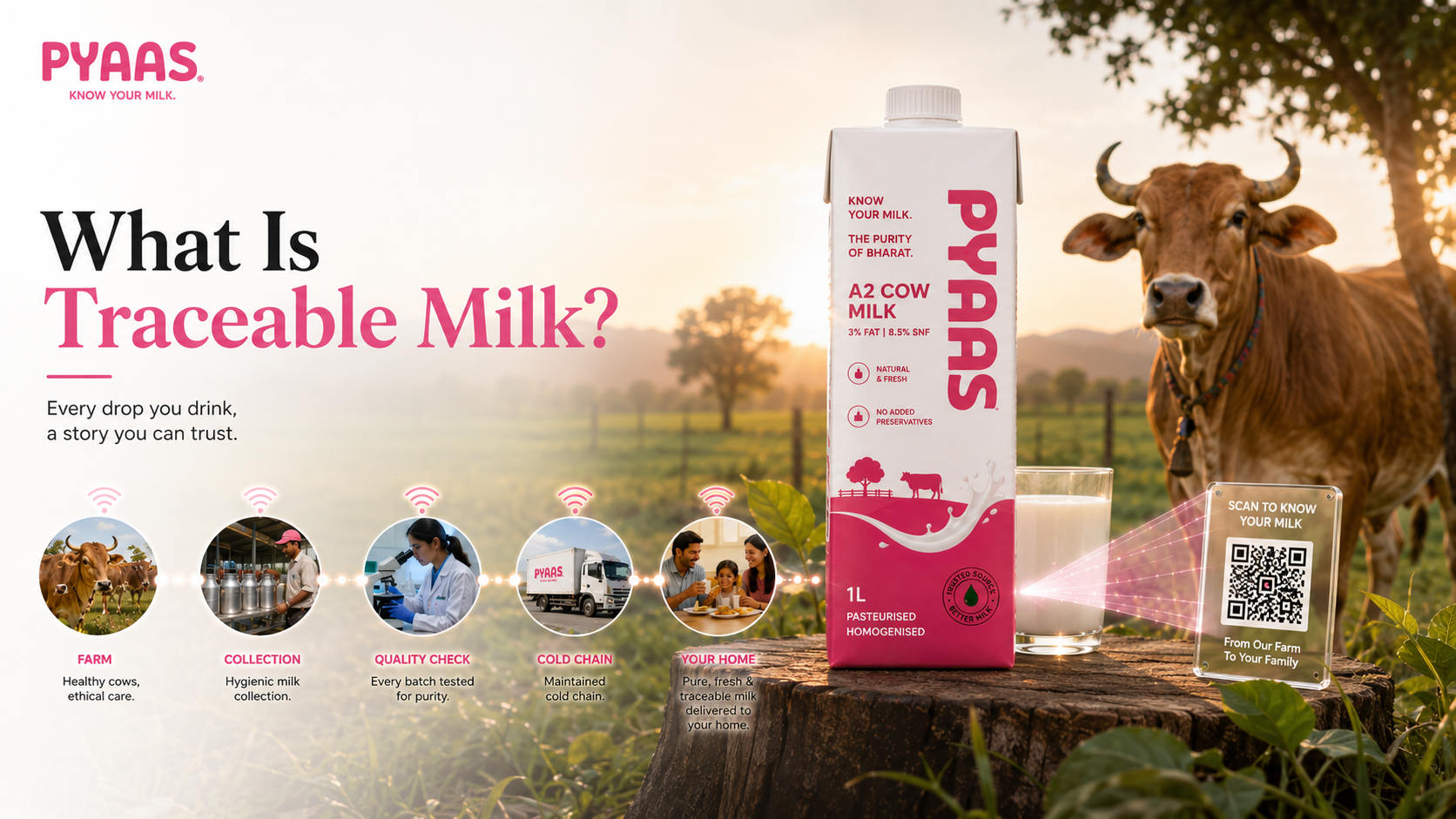 Cover image for the article What Is Traceable Milk? Why Modern Consumers Want to Know Their Milk