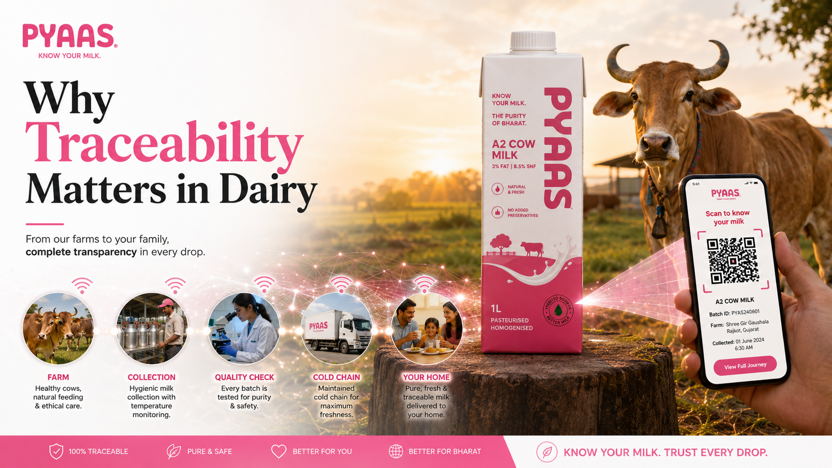 Cover image for the article Why Traceability Matters in Dairy: The Future of Consumer Trust