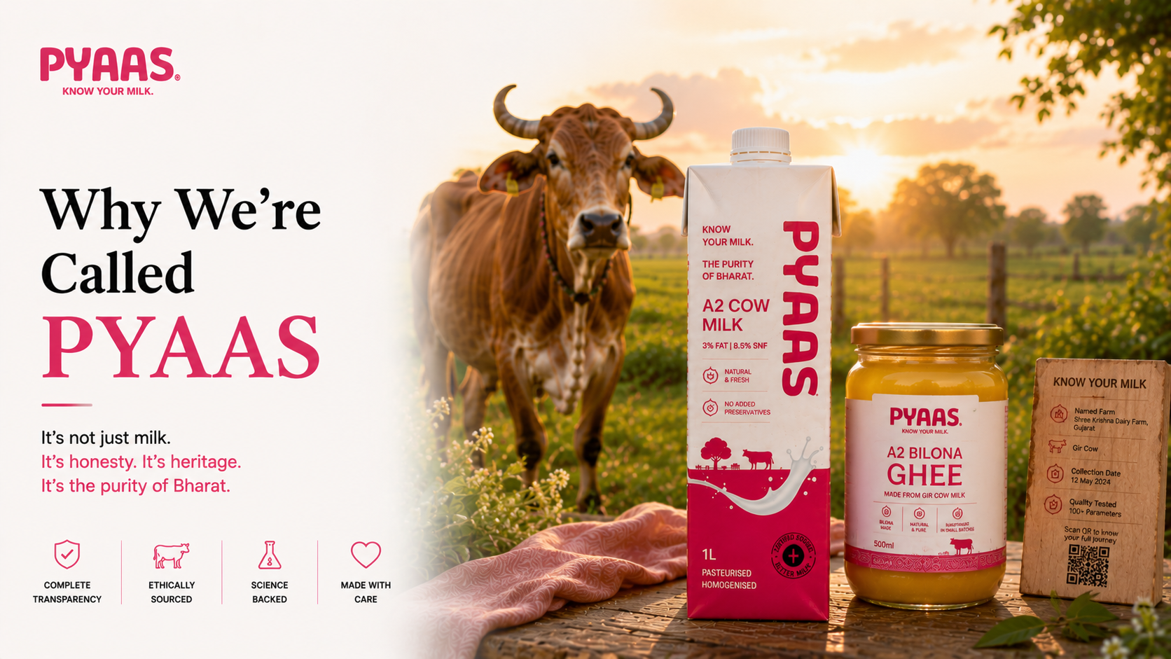 Cover image for the article Why We’re Called PYAAS: The Meaning Behind the Name