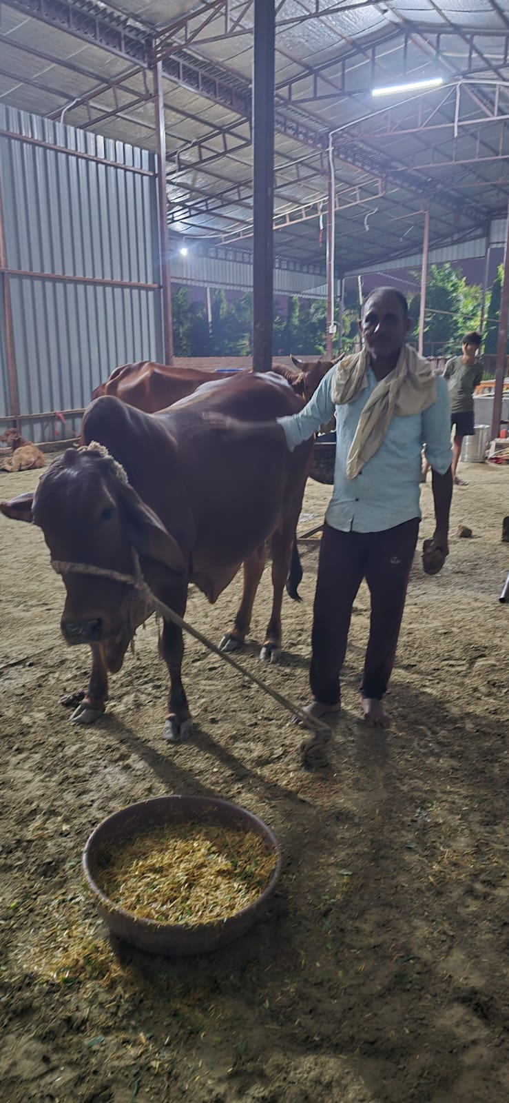 Abhishek Mishra, Mishra Dairy