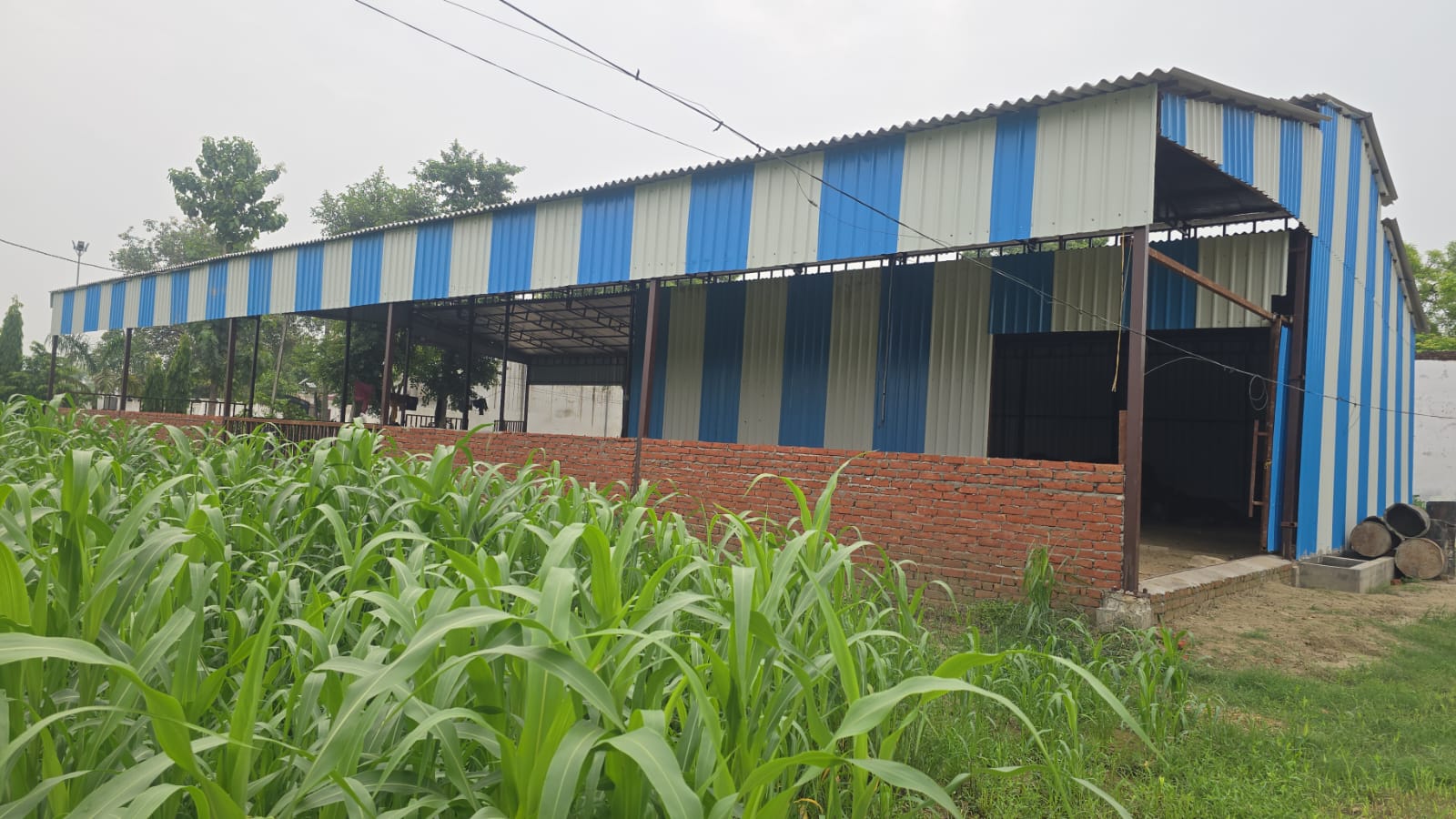 Mishra Dairy